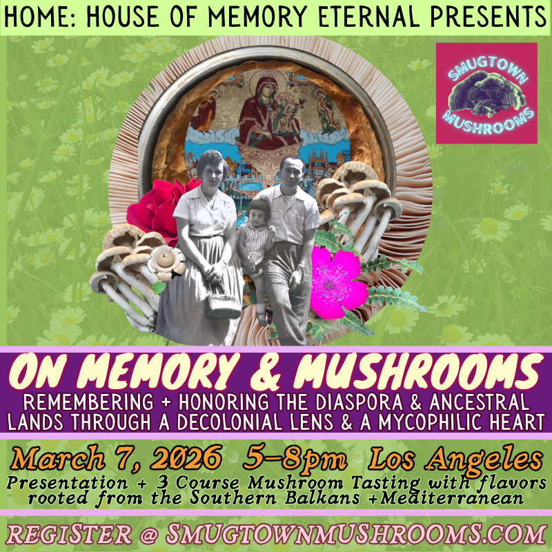 On Memory + Mushrooms: A Mushroom Tasting within the lens of the Southern Balkans + Mediterranean