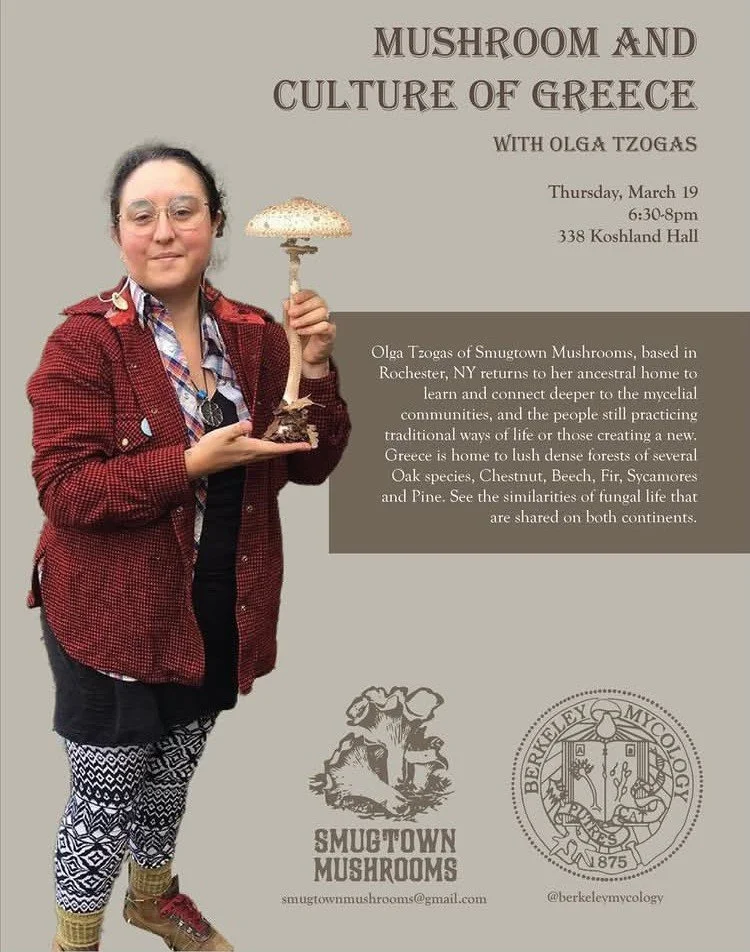 Mushrooms + Culture of Greece - Berkeley, CA