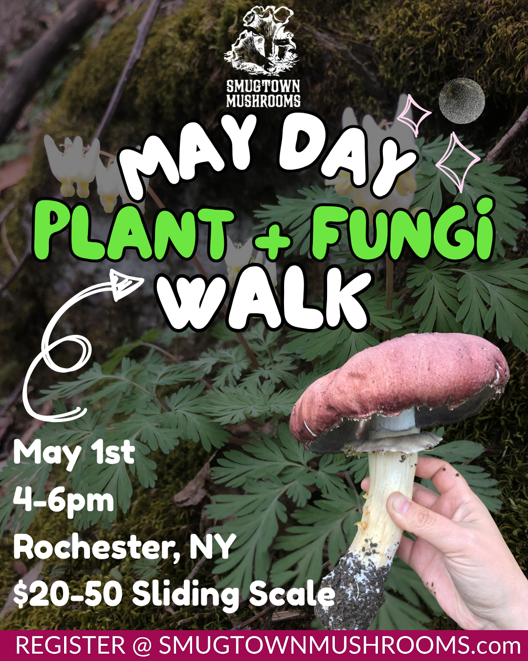 May Day Plant + Mushroom Walk - Rochester NY