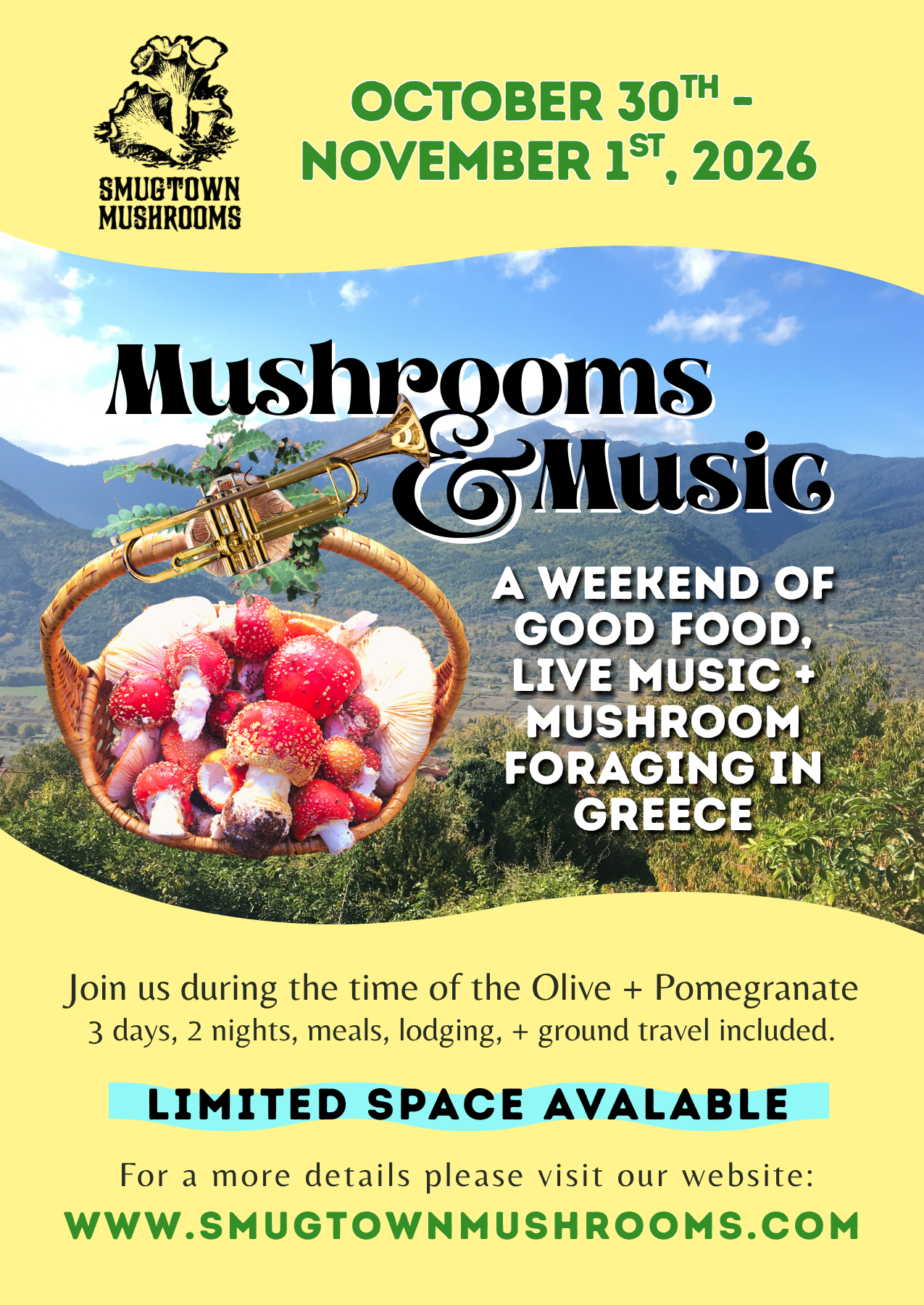 Mushrooms + Music