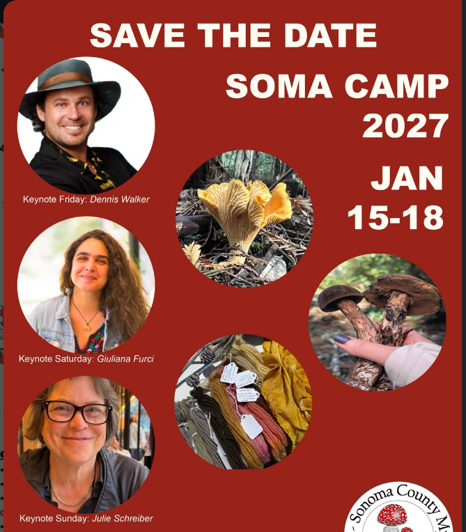 SOMA CAMP
