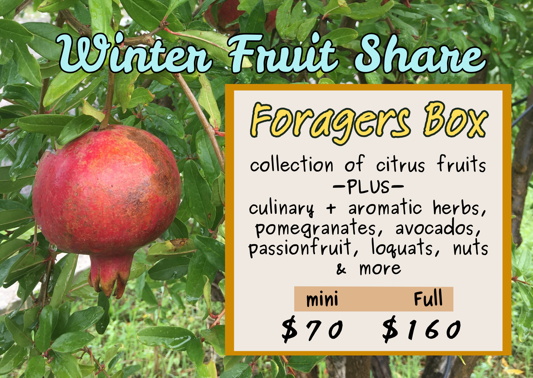 fruit share (3).png