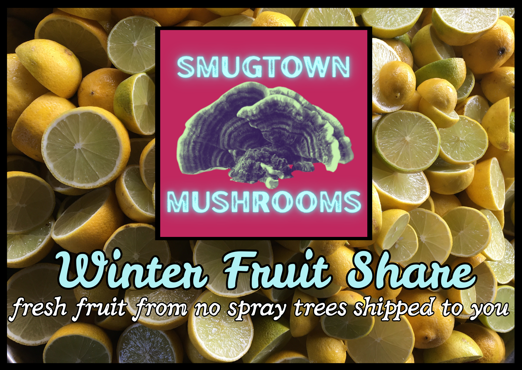 Winter Fruit Share