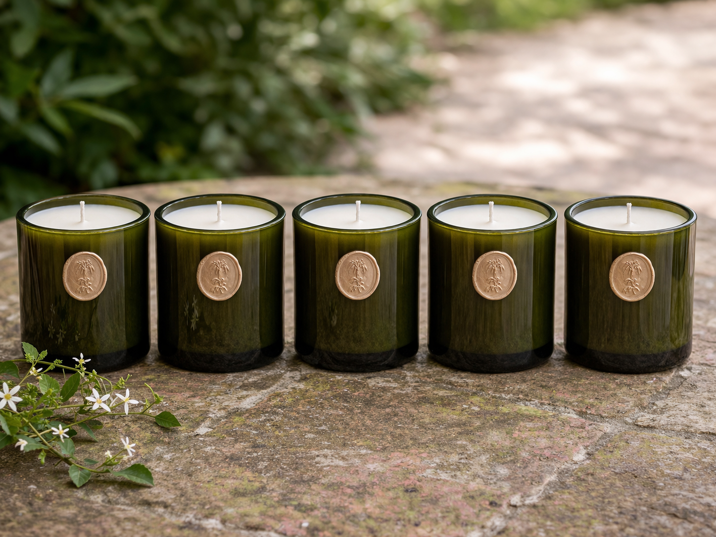 The Signature Collection Set