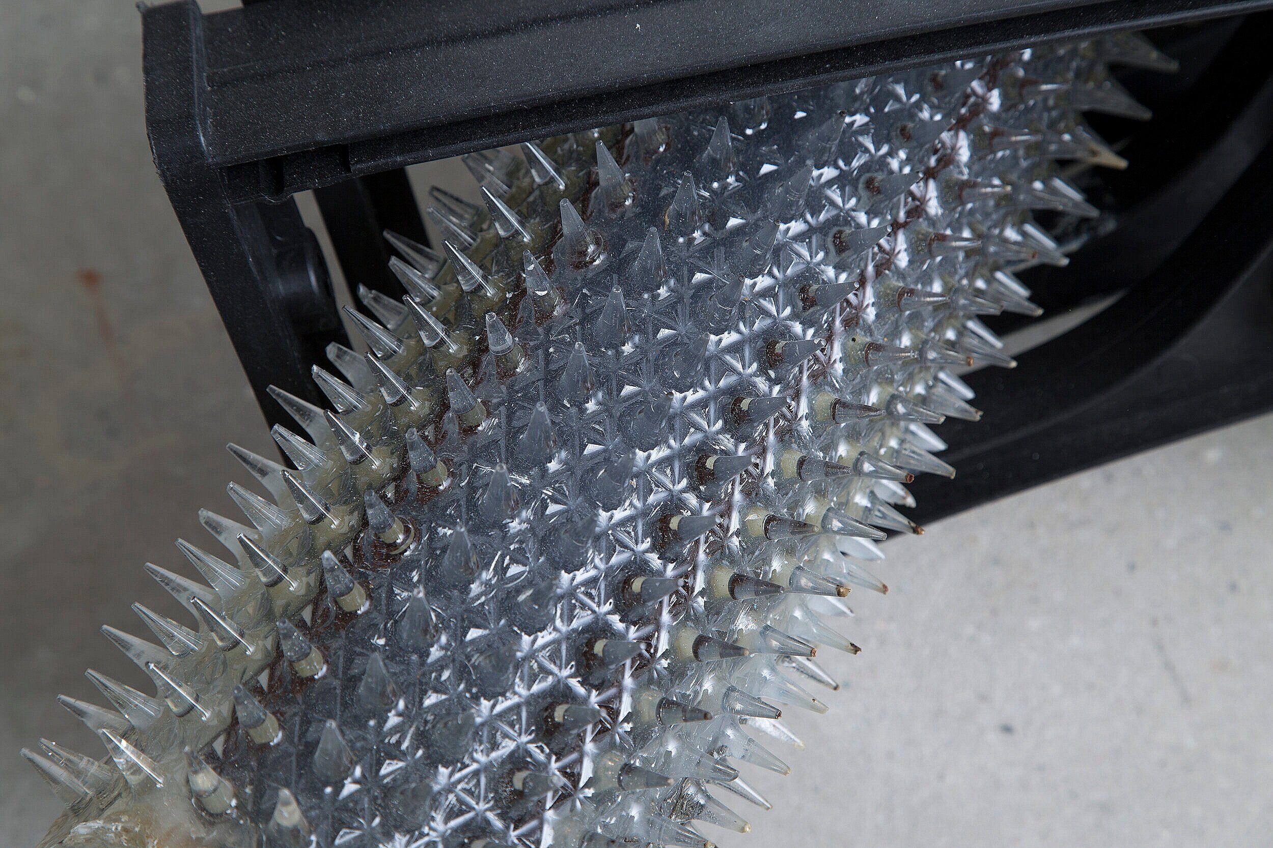 Gelid (Detail), 2020