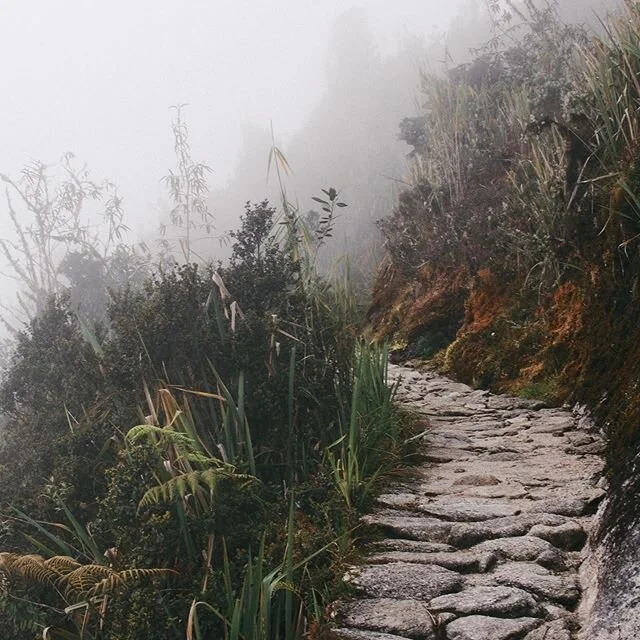Wisdom for the chosen 5

Determined is the one who knows what they want and works hard to achieve it, torn between two different realities one must choose which side of themselves speaks to thy inner truth and evolve. Creativity and inspiration draw 