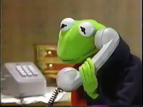Kermit Communicates Well.gif