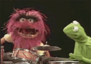 Animal.gif