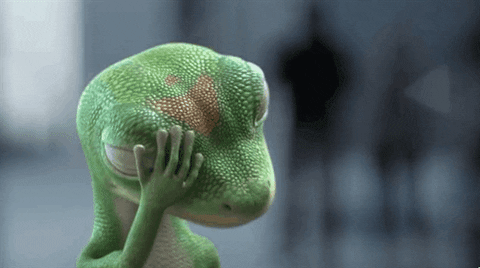 Gecko.gif