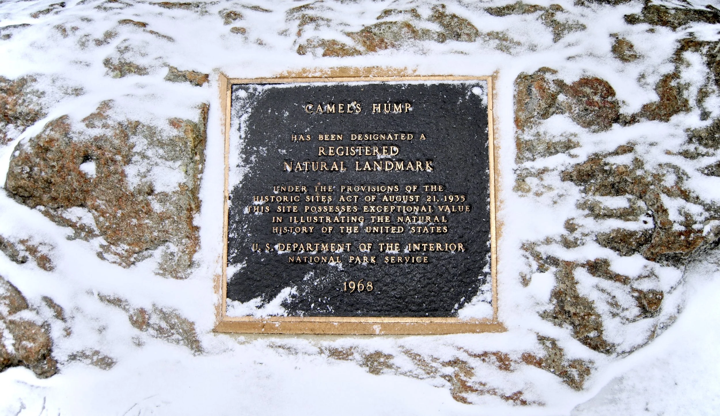 DSC_0062.jpg
