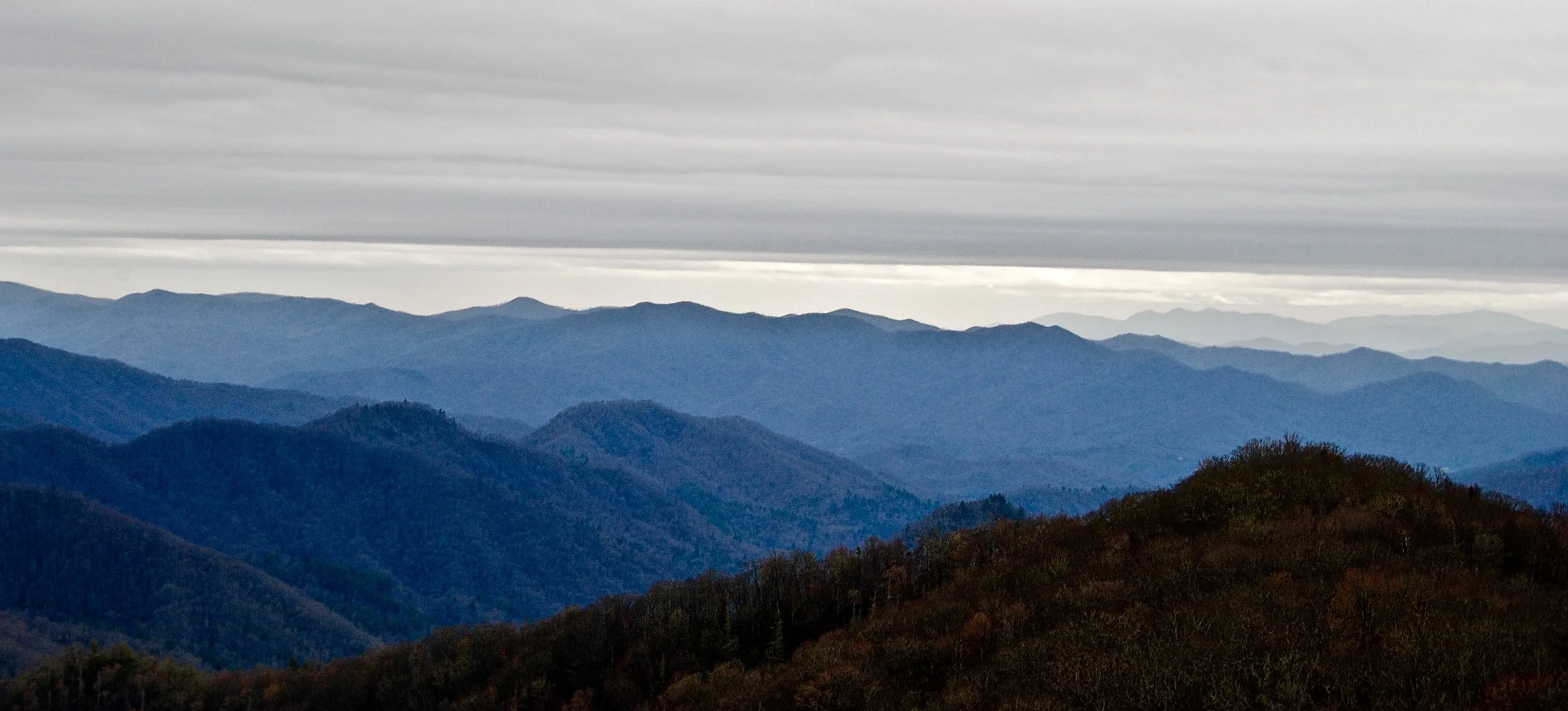 DSC_0029.jpg