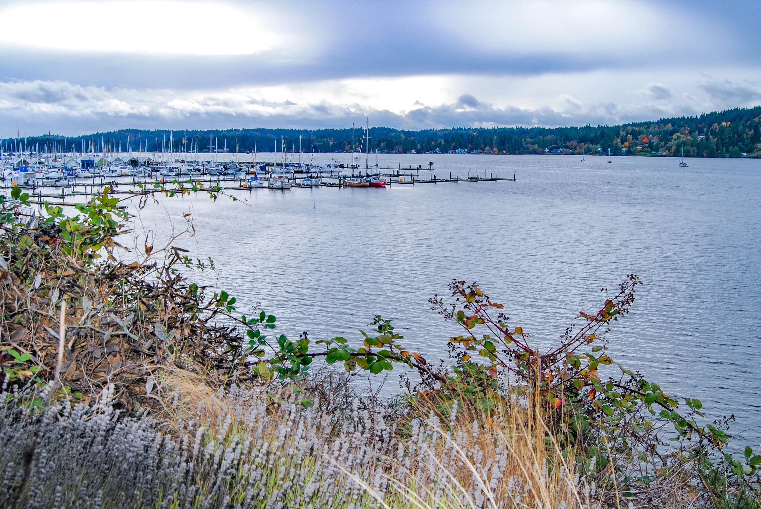 Poulsbo is a must-see, easy day trip in Washington. View from Poulsbohemian Coffeehouse.