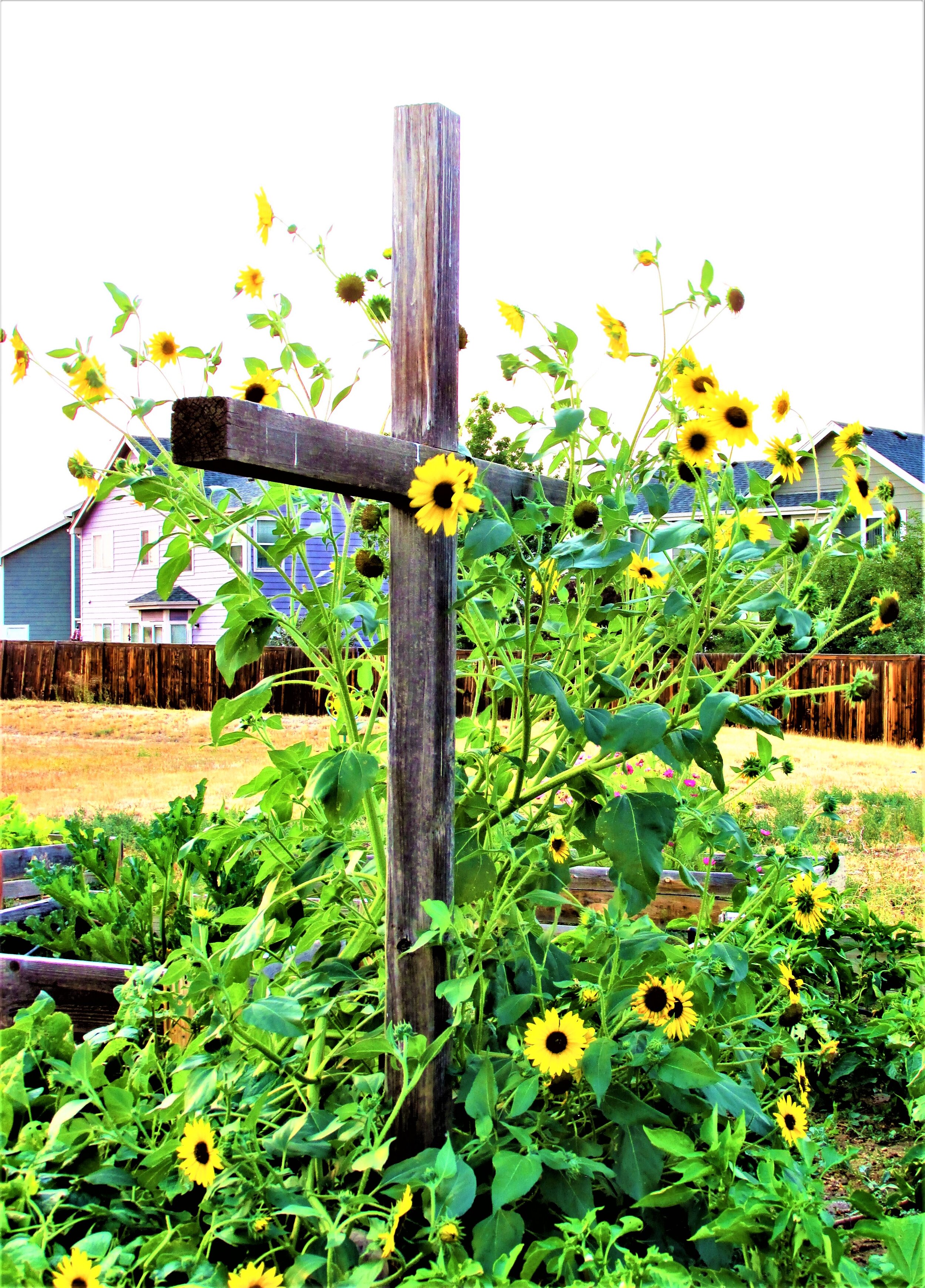 The cross in the Community Garden