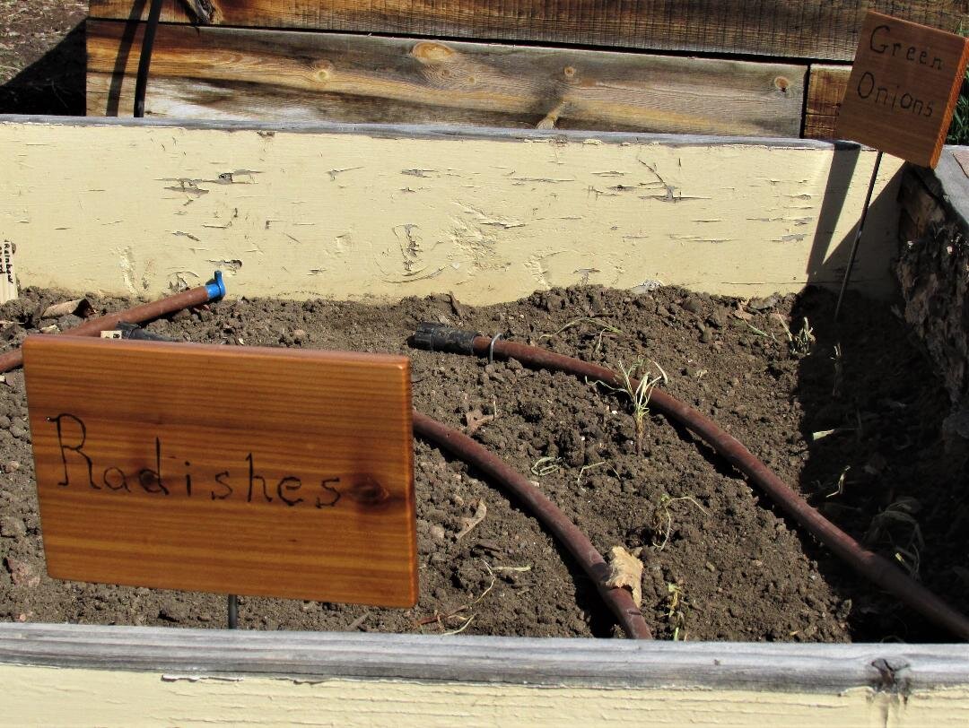 New signs for the Community Garden