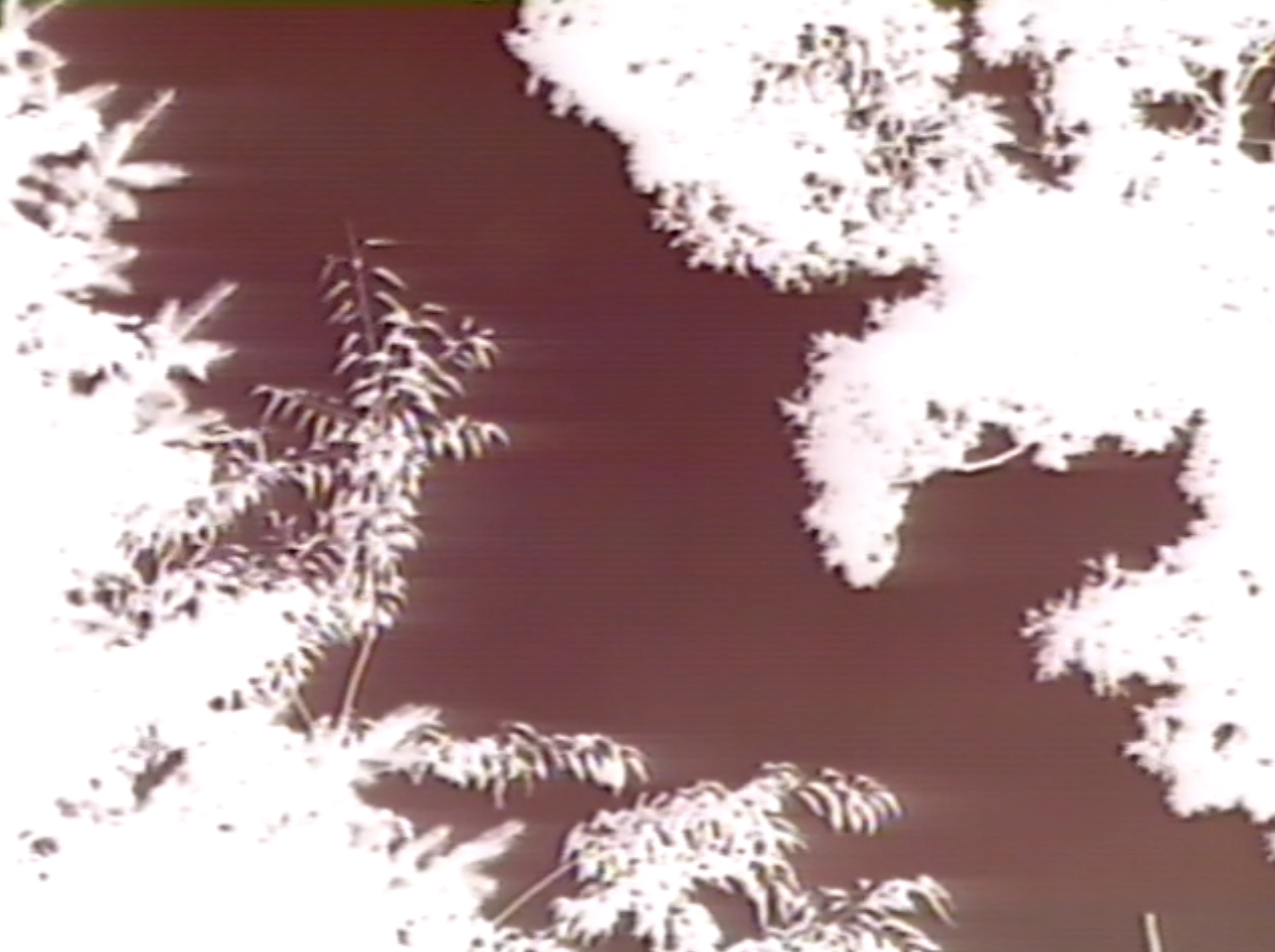 Screen Shot 2019-11-23 at 12.20.31 AM.png