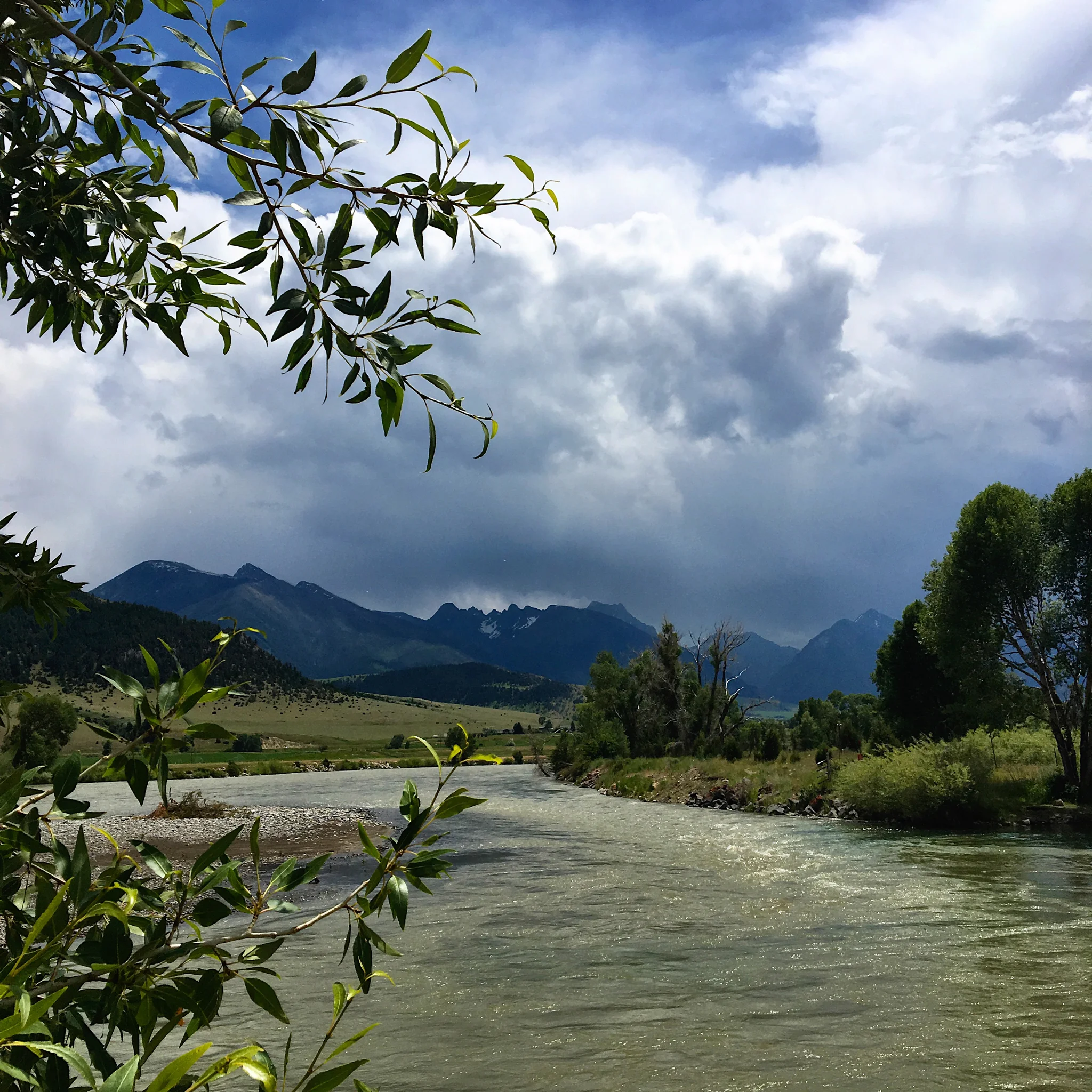 Livingston, MT. July 2017.