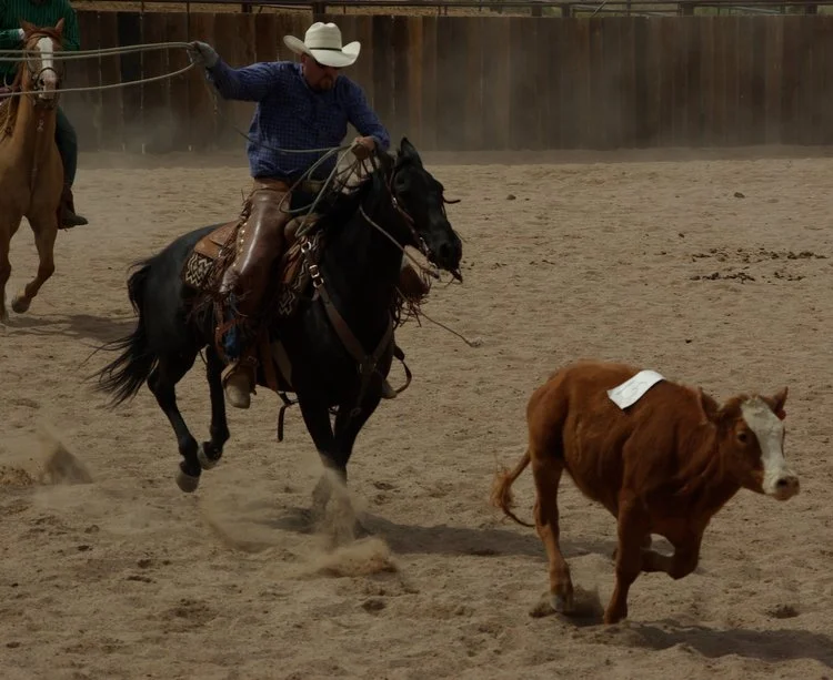 Roping+Loal+&+Cowboy+-+Cattle+Clinic.jpg
