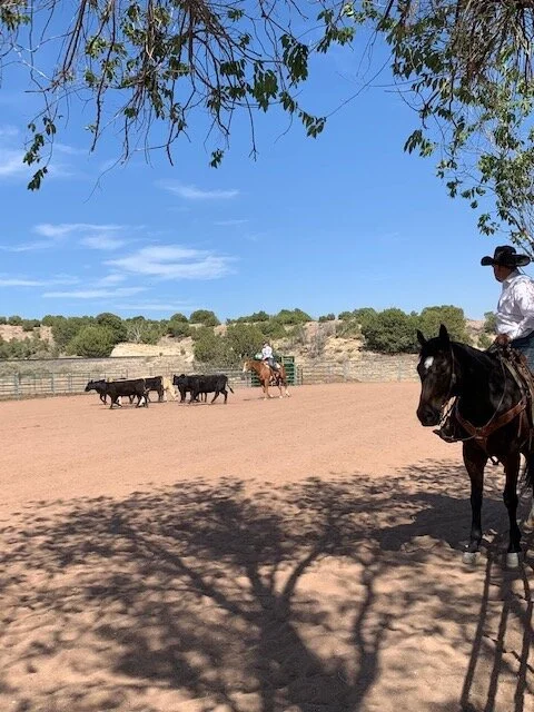 Private Cattle Lesson Rachael.jpg