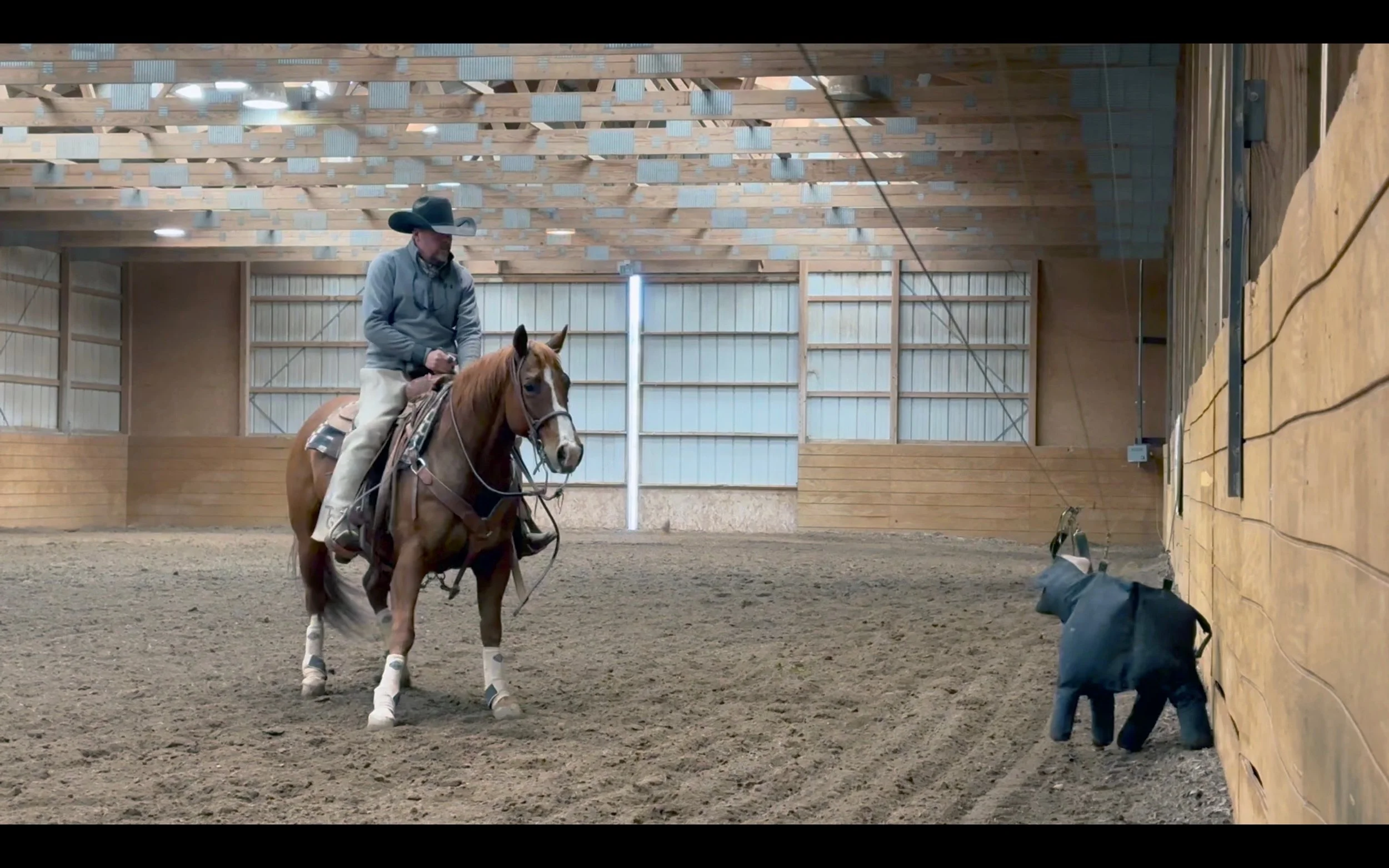 Mechanical Cow (Flag) Private Lesson Package of 3