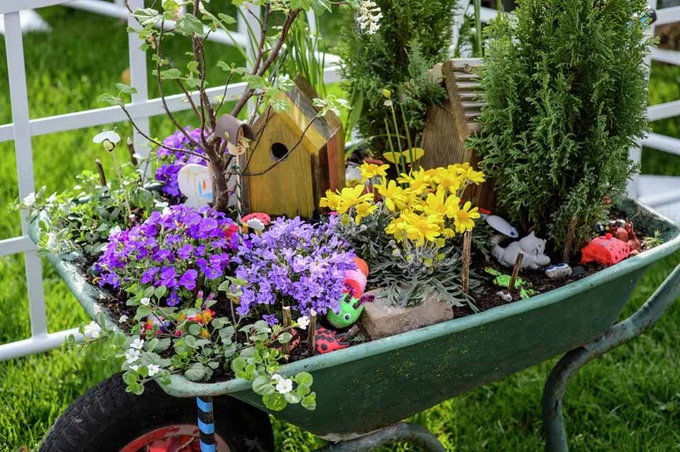 Photo: rhs.org.uk