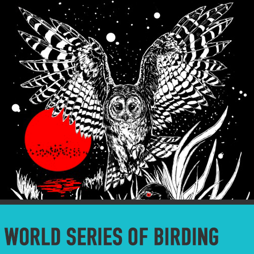 World Series of Birding