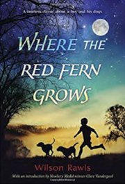 Where the Red Fern Grows : Yes, I am 26 and just read this book for the first time. As a way to get me back into the habit of reading I was on the lookout for a simple read from my list that had substance. This novel was just that, a fun adventure that hits all the right emotional chords. I am sure most of you know this already since it is a staple of grade school language arts classes. 