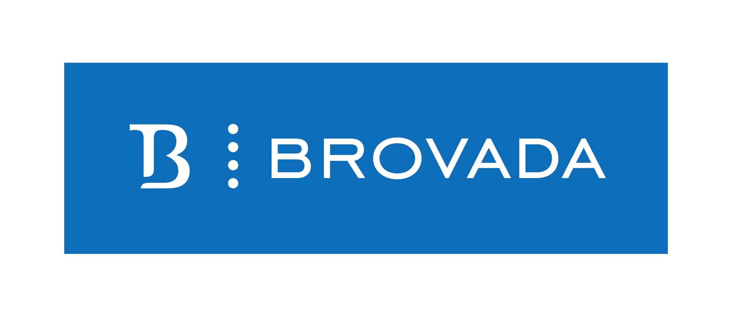 CHALLENGE This technology start-up built software that was getting attention but nobody knew the company that built it. They had plans for expansion but no marketing know-how. They needed to look professional. SOLUTION We crafted a clean
