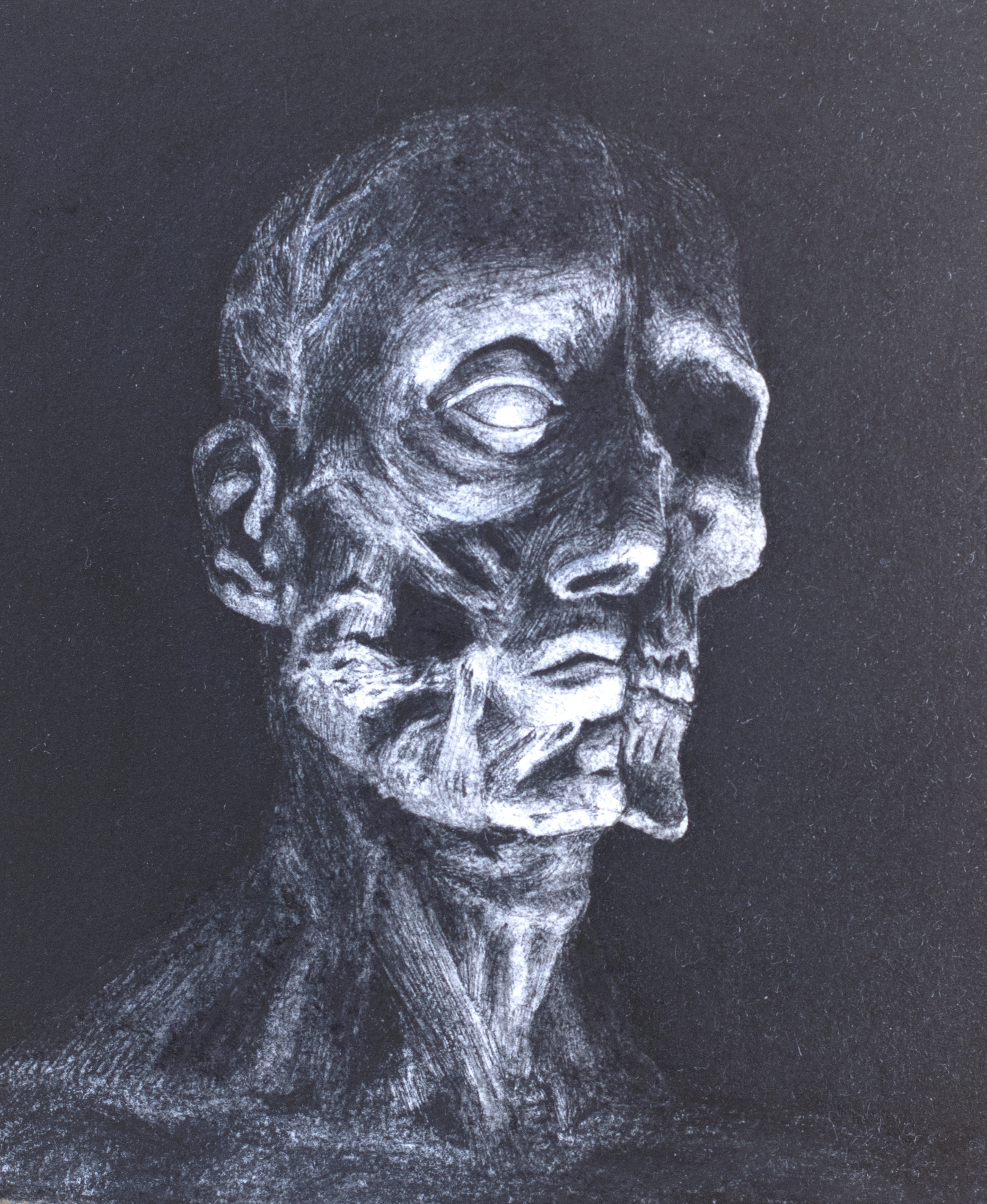 Anatomy_Study_2016.jpg