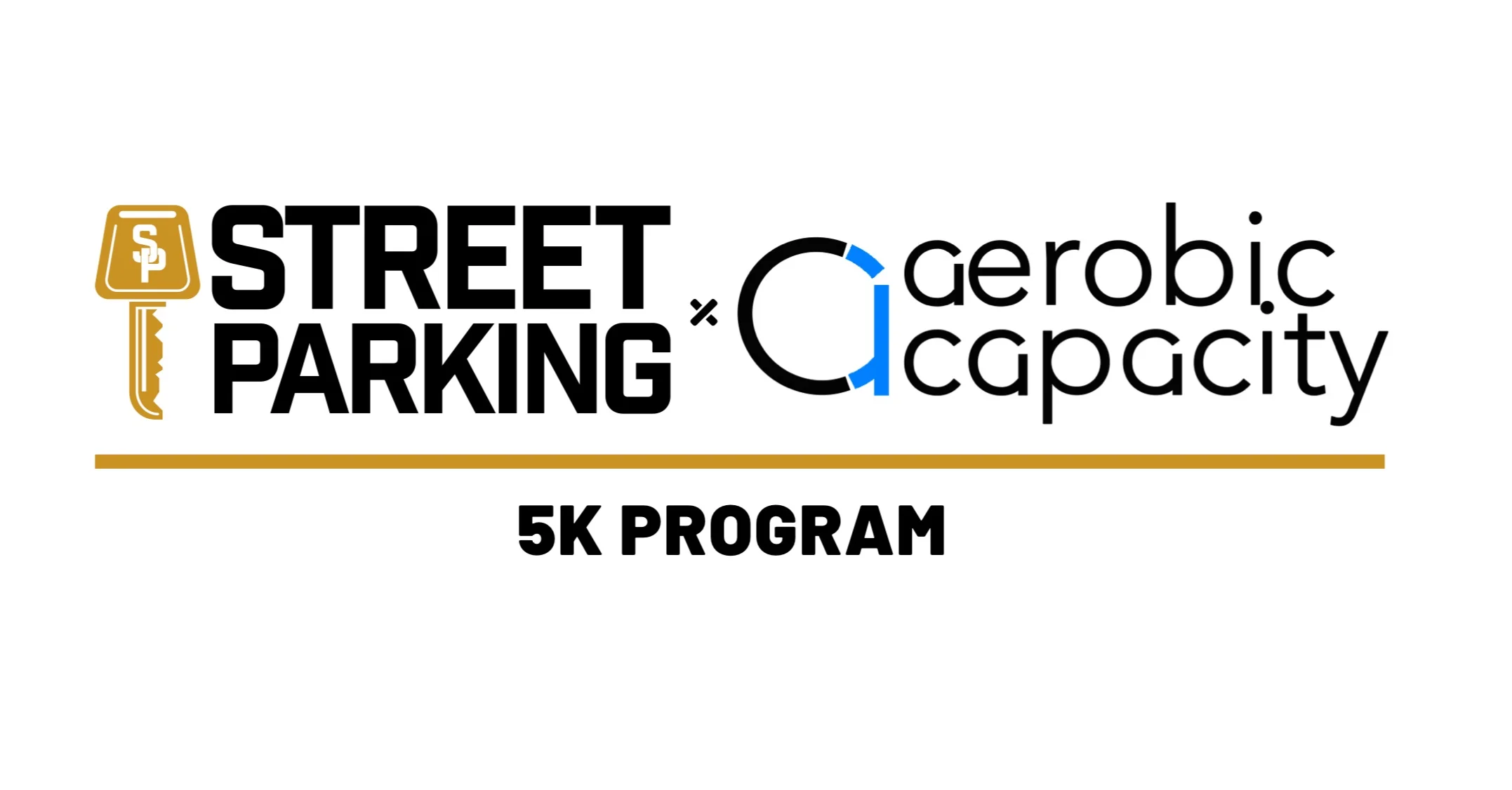 STREET PARKING + AEROBIC CAPACITY 5K PROGRAM