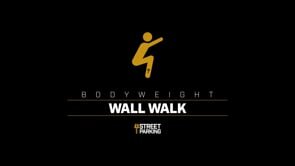 Wall Walk