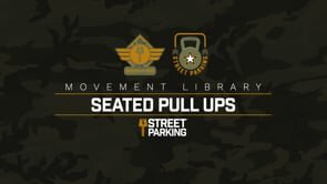 Seated Pull Ups