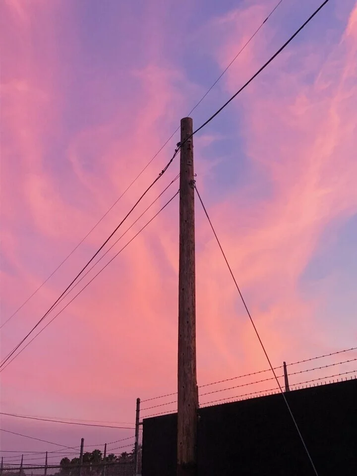 vsco5ef33c9e8d19e.jpg
