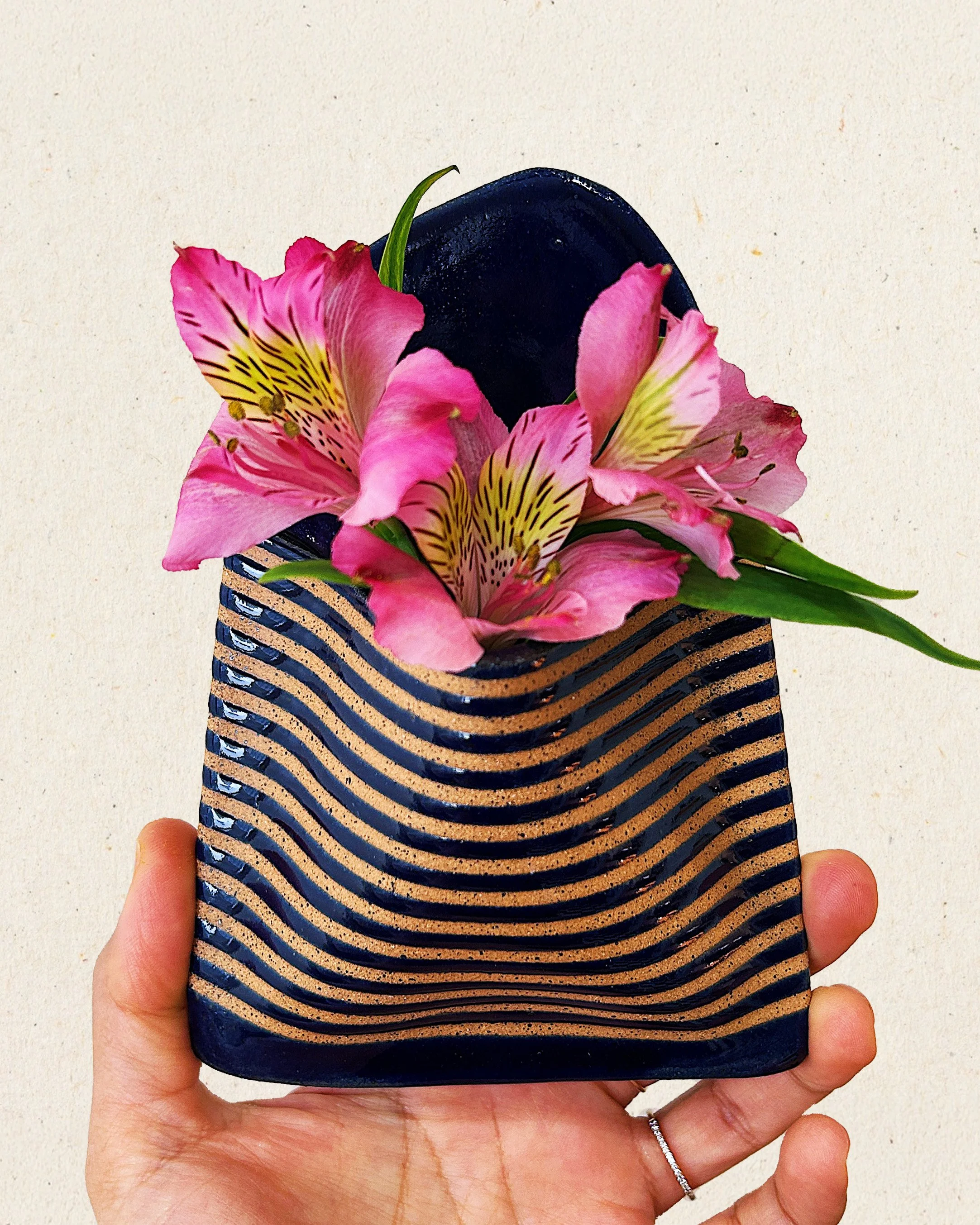 Raspberry Slushy 01.jpg