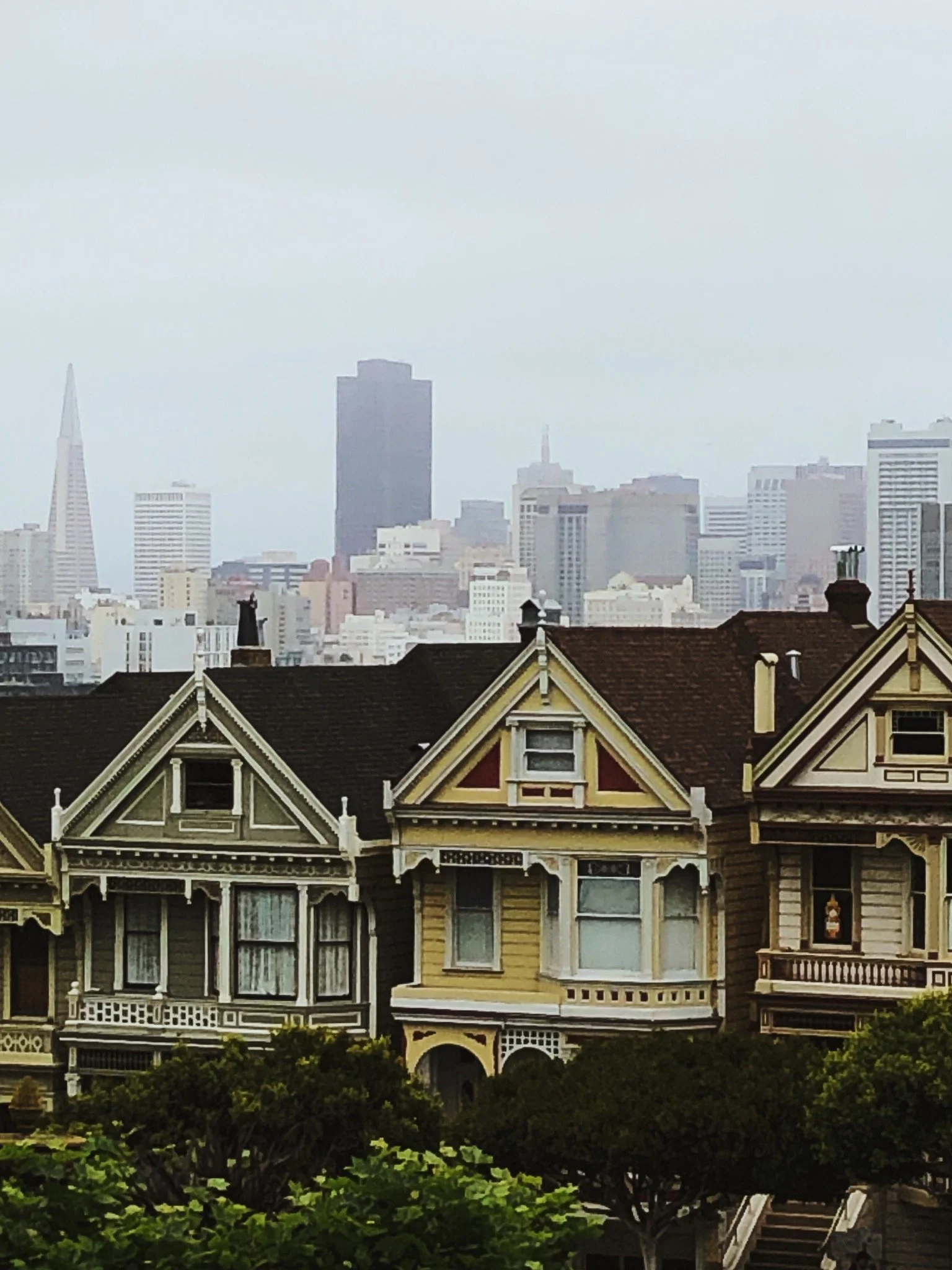 vsco61450ccf03bb4.jpg
