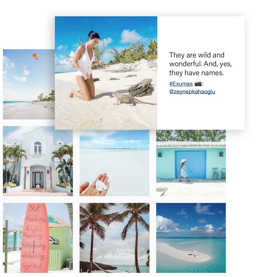 Screen Shot 2019-03-14 at 12.22.56 PM.jpg