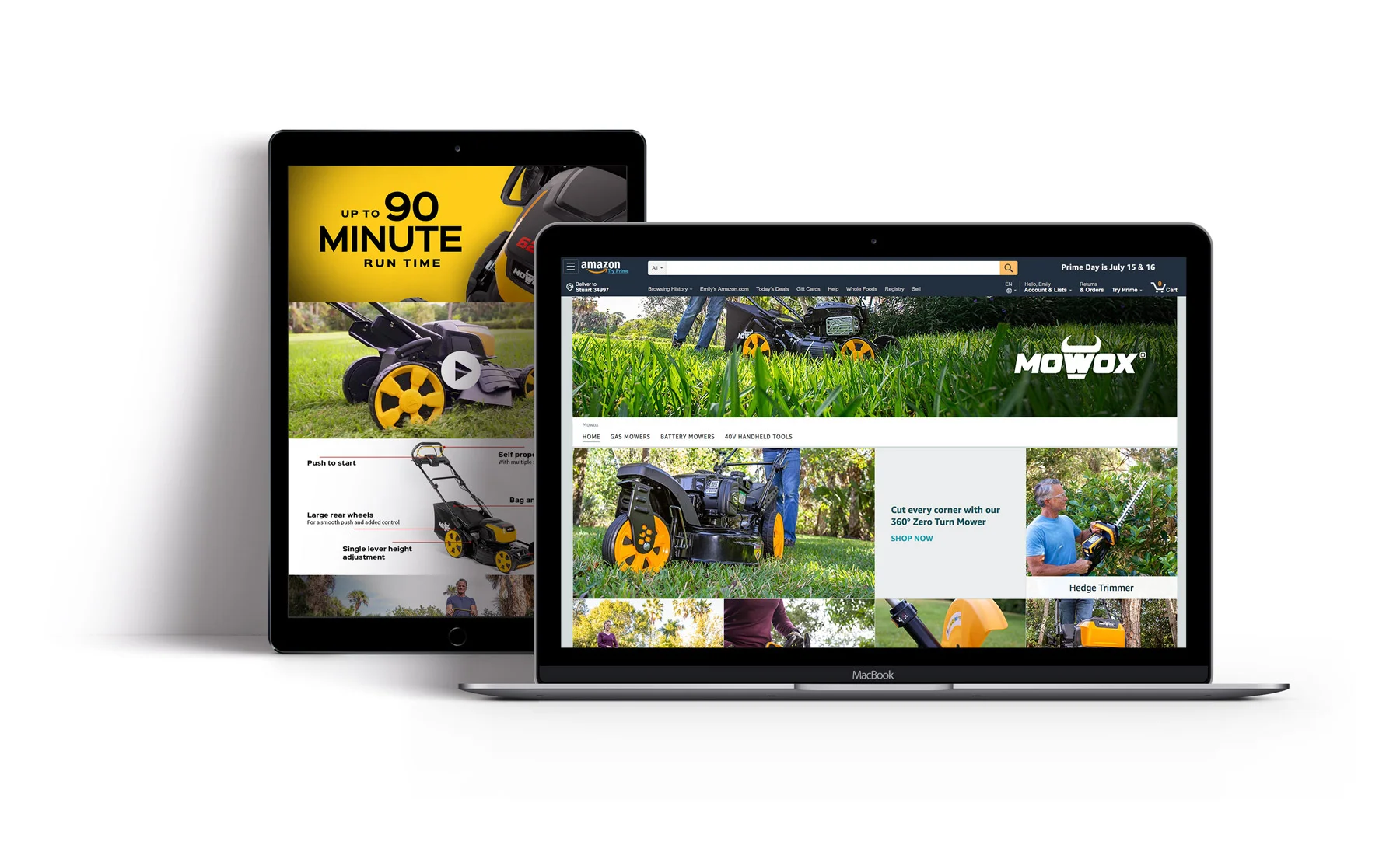 Web-Showcase-Project-Presentation.jpg