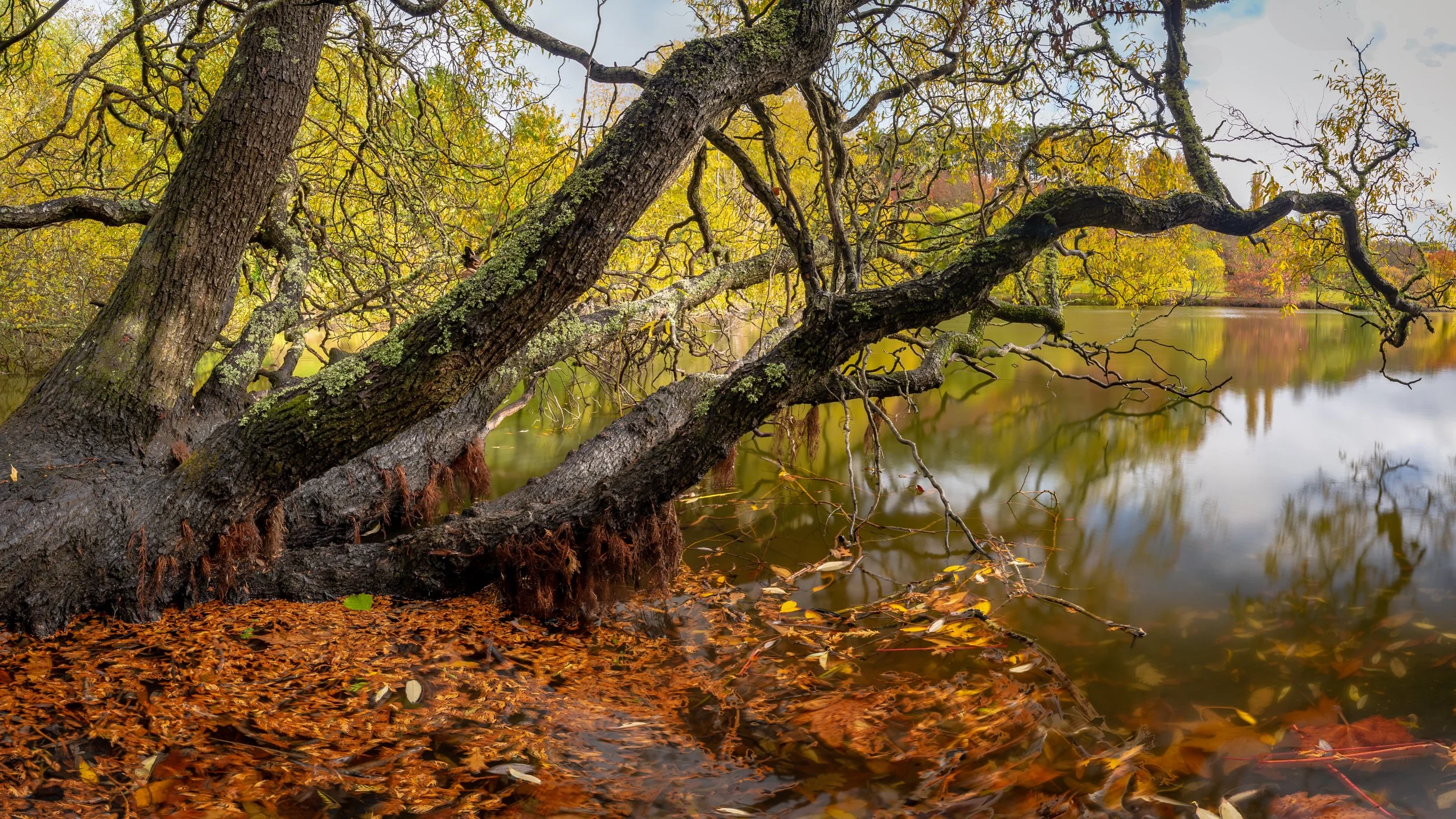 _21A9530-HDR-Pano.jpg