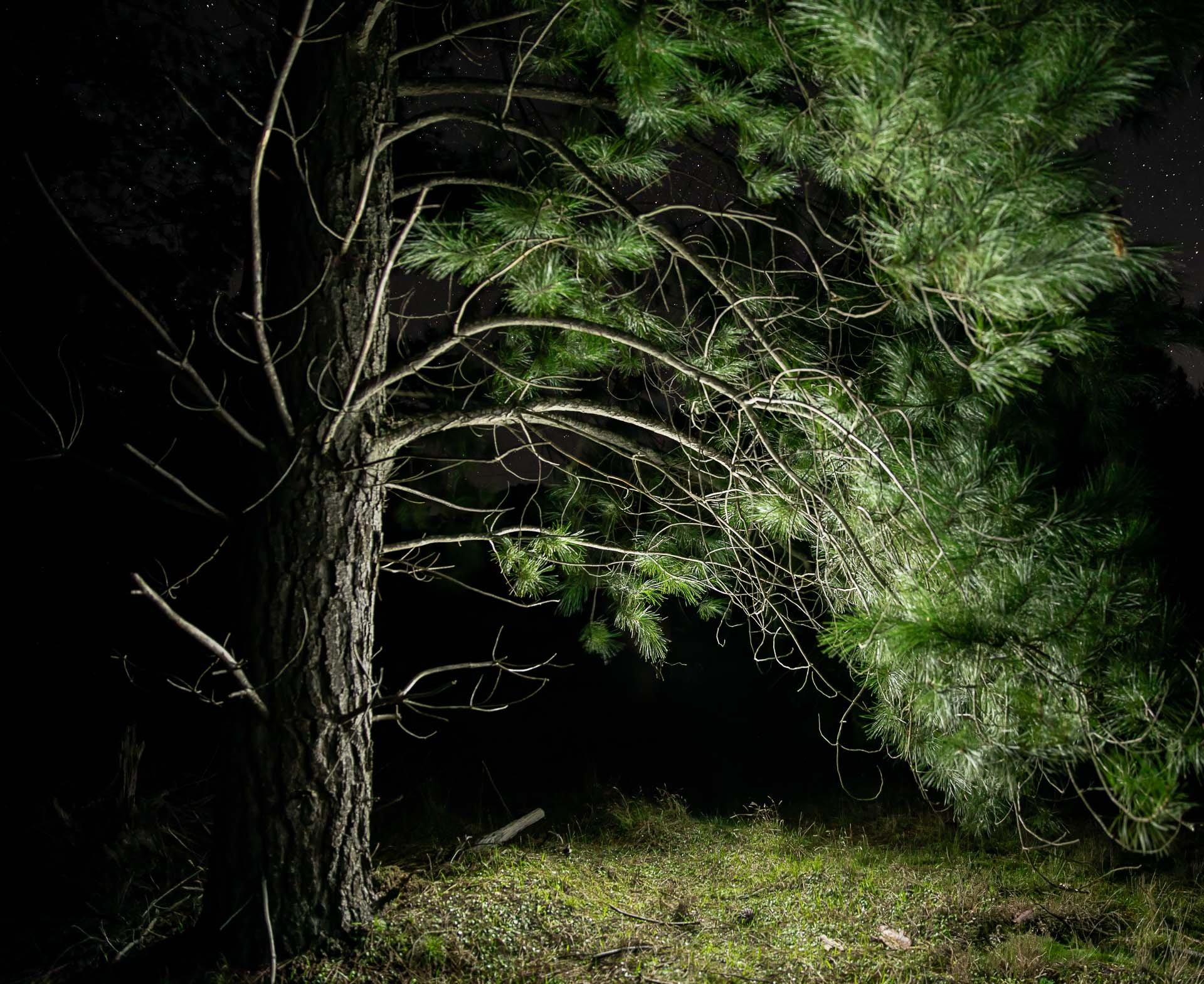 0C4A5536-Edit-2-Edit.jpg