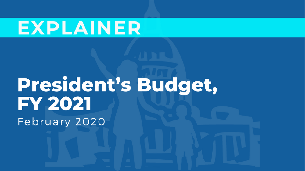 Document Button - Explainer - Presidents Budget.png