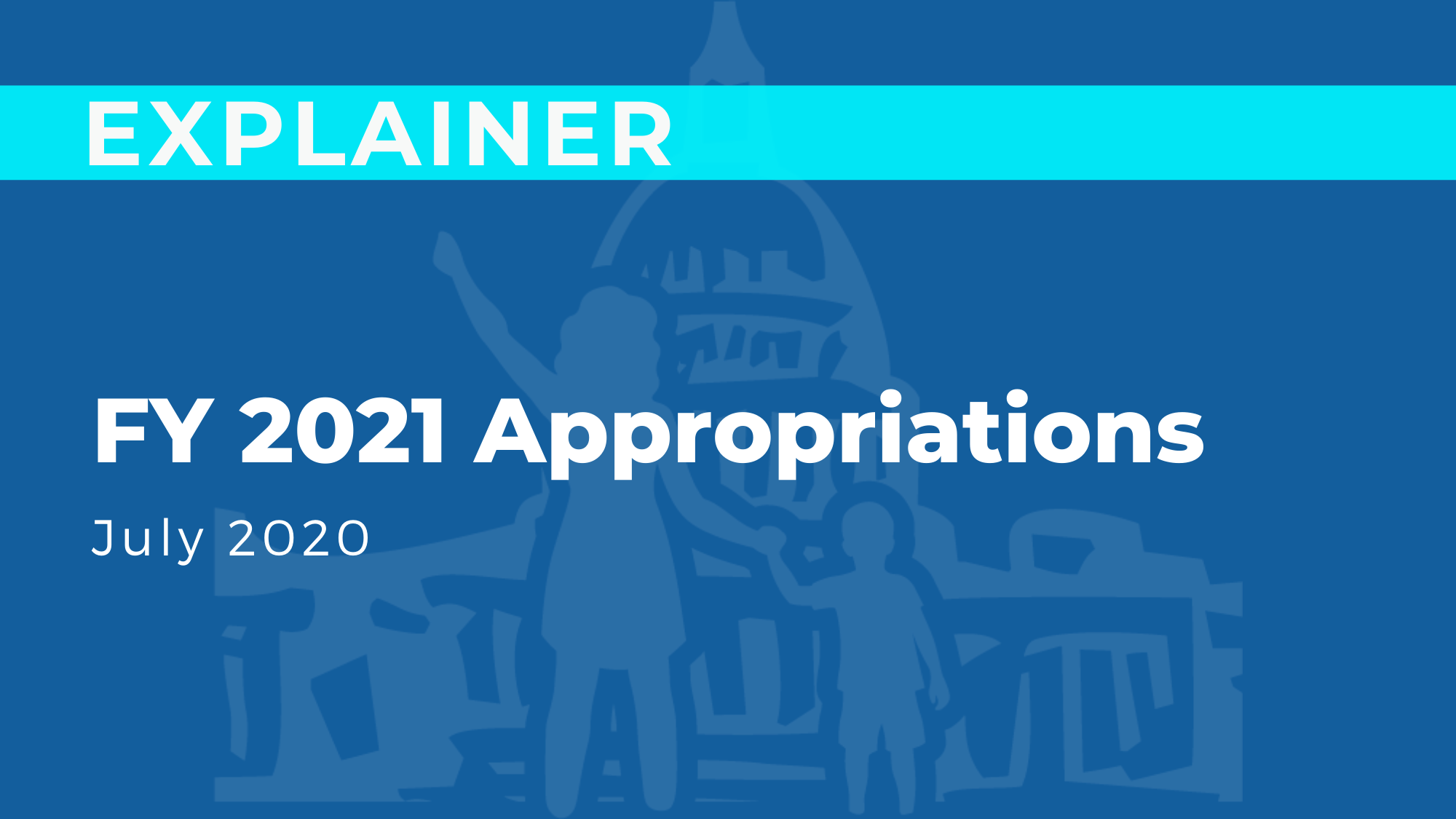 FY 2021 Appropriations