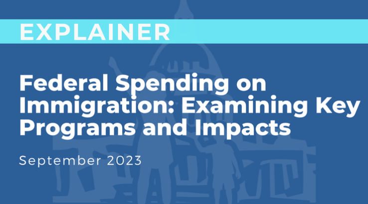 Federal Spending on Immigration: Examining Key Programs and Impacts