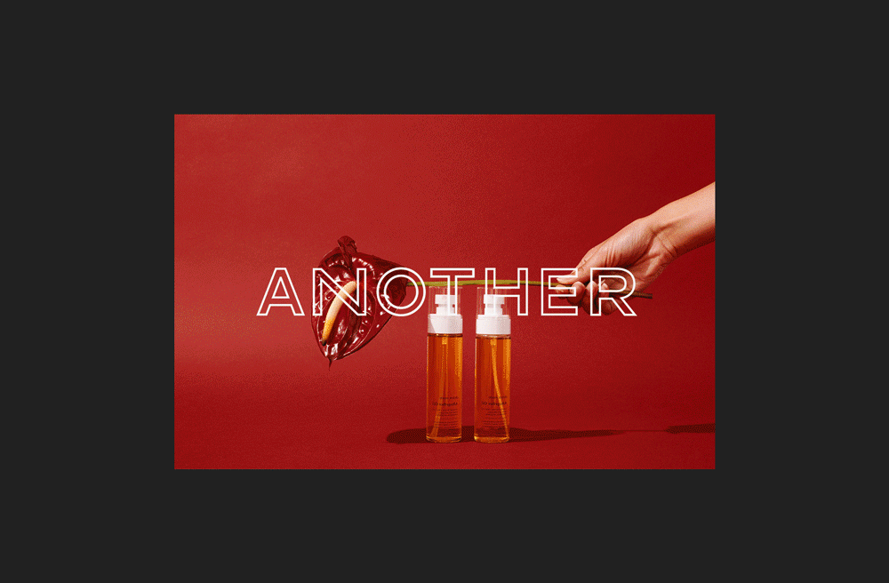 another-reel-2.gif