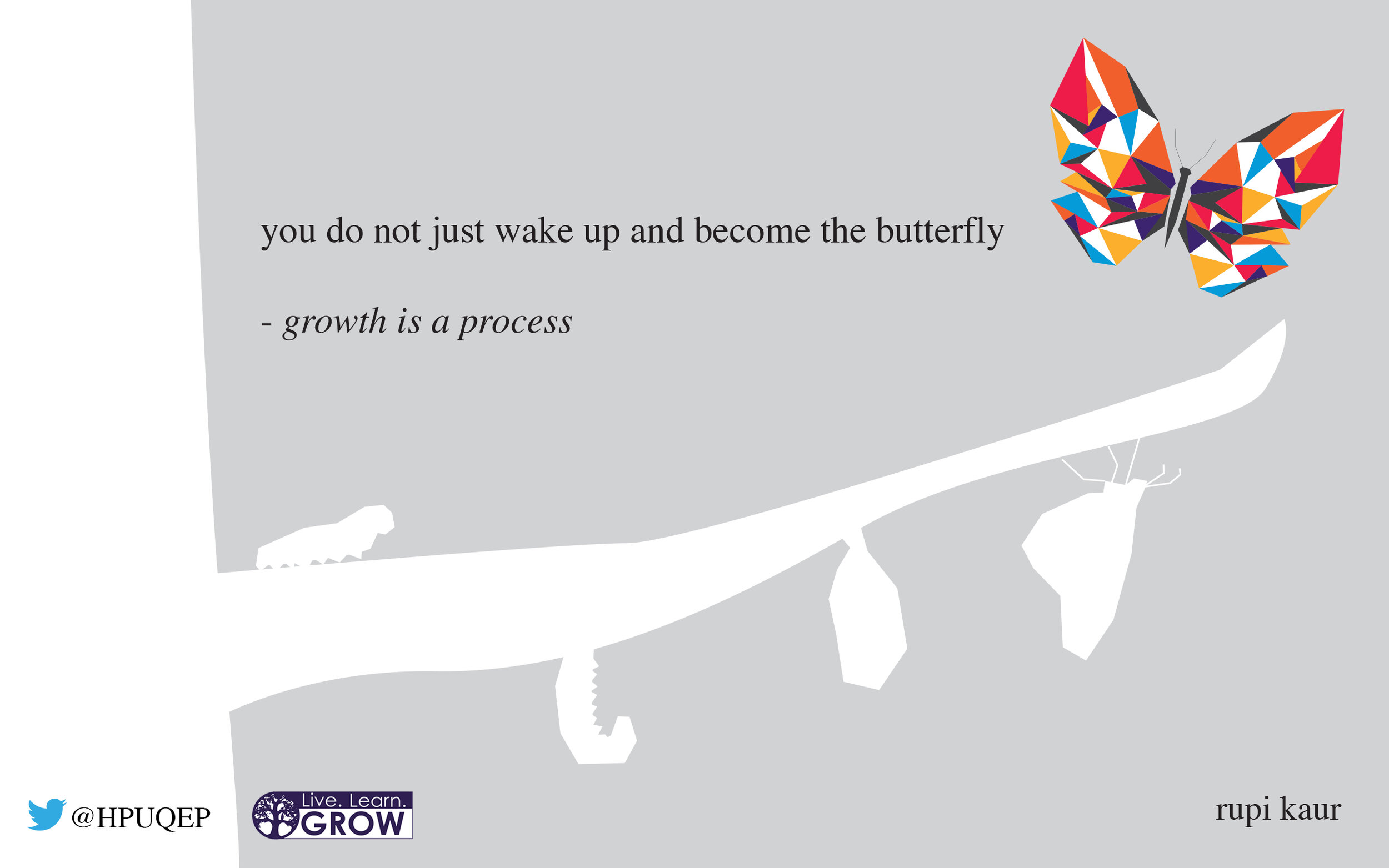 butterfly.jpg