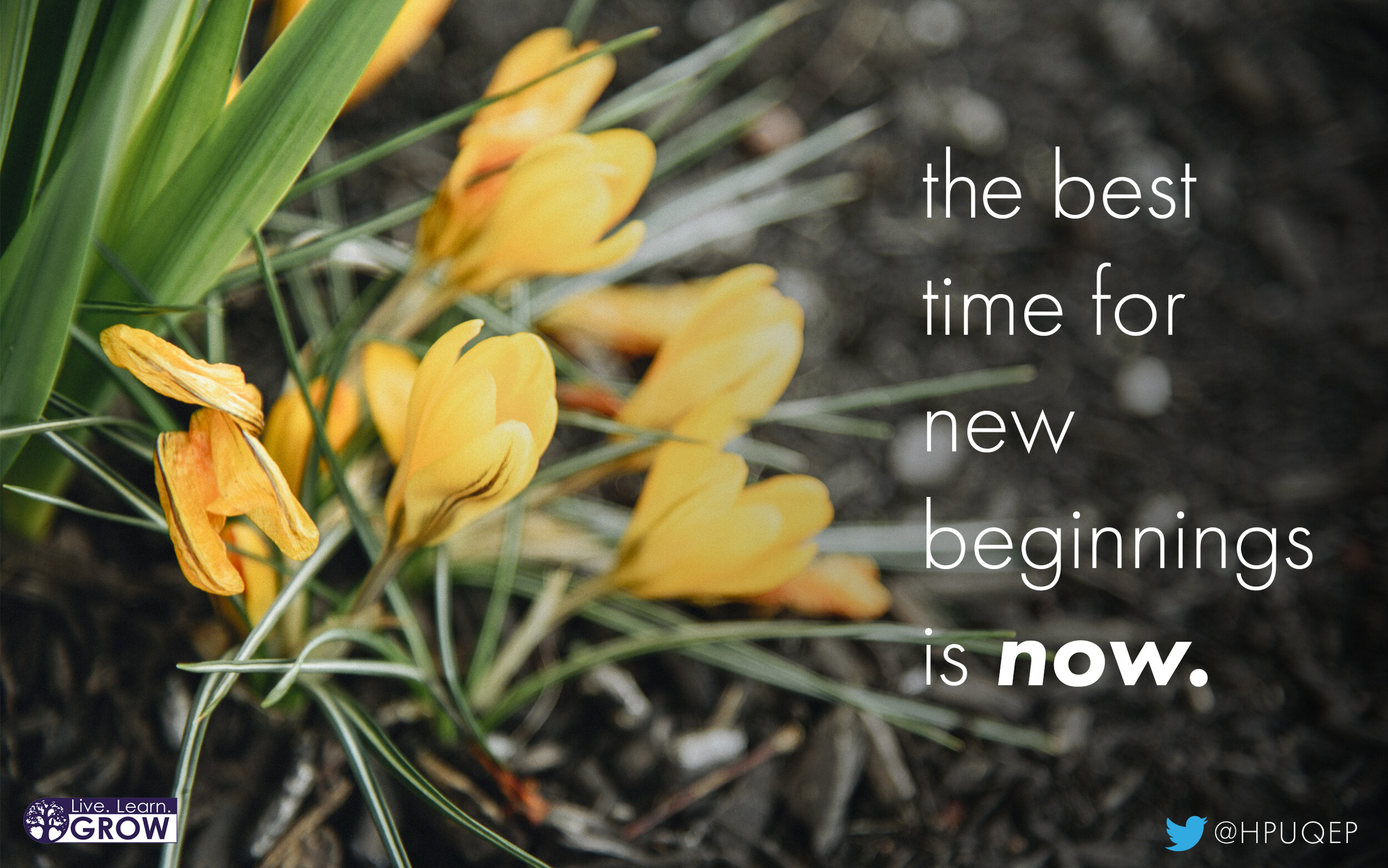 newbeginnings.jpg
