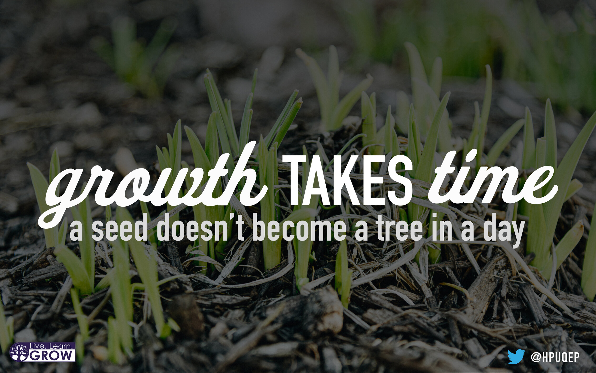 growthtakestime1.jpg