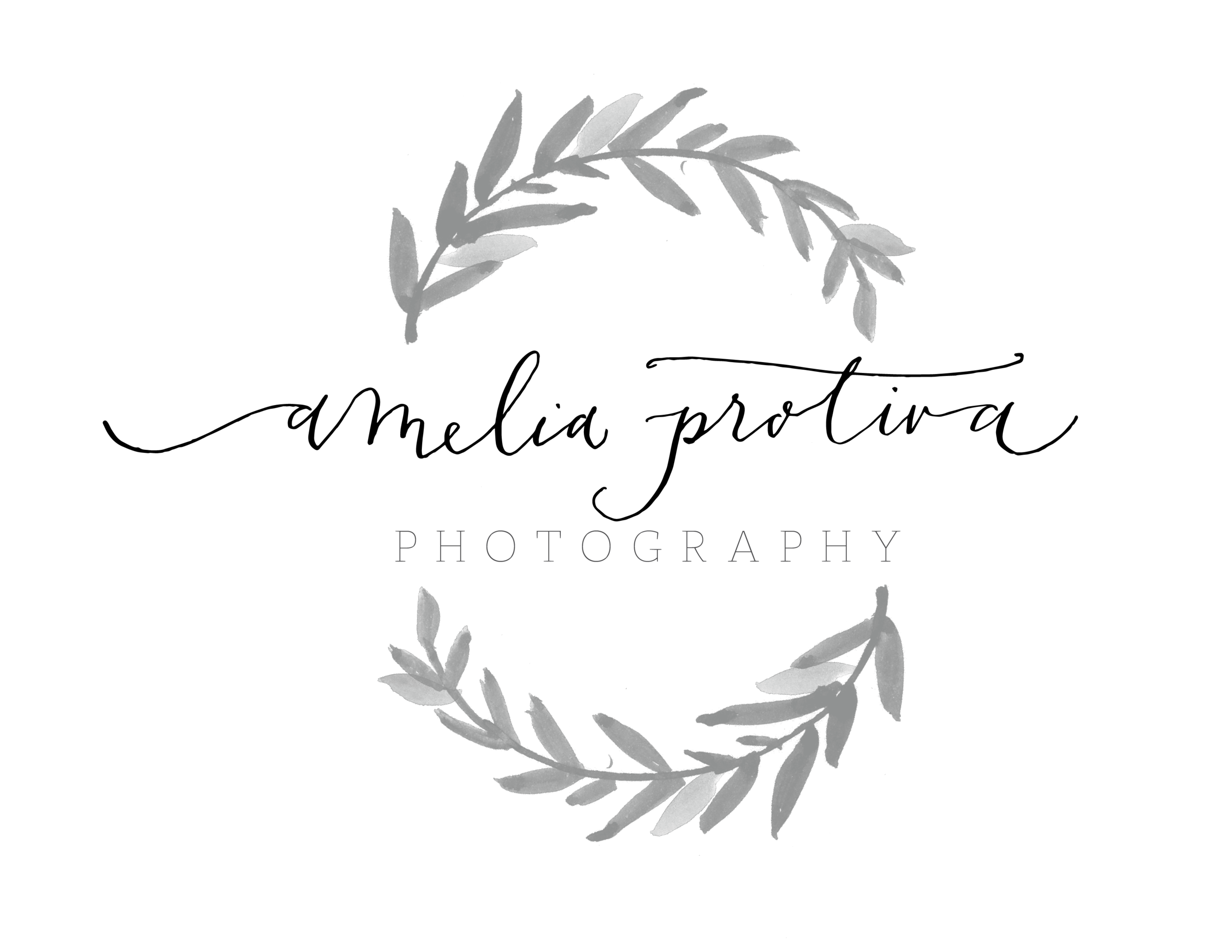 Amelia_Logo_2015_d4_Final-01.png