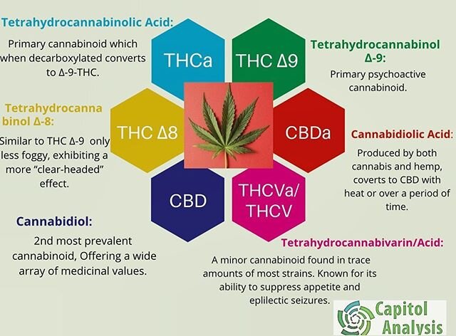 Know your Cannabinoids! 🧠 #sciencefeed #i502 #cannabiscommunity #chemistry #microbiology