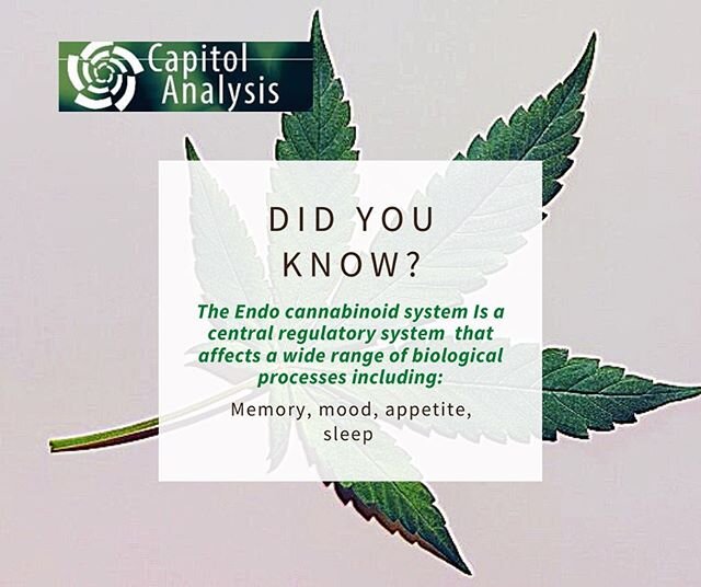 Science Matters 🌱 
#funfactoftheday  #cannabiscommunity #i502 #chemistry #microbiology