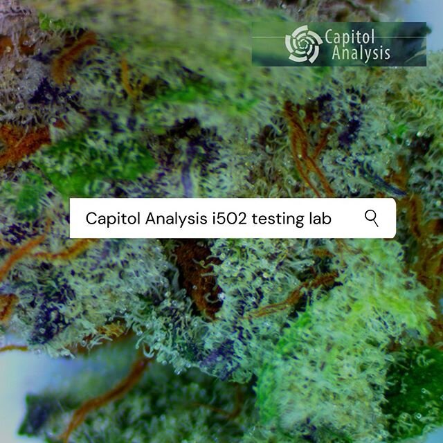 We are a fully certified I502 testing lab located in the heart of Washington. For pick up services or promo details please contact us! 🌱 
#realscience #chemistry #i502 #cannabiscommunity