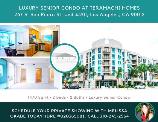 267 SAN PEDRO ST UNIT 201 los angeles 90012.png